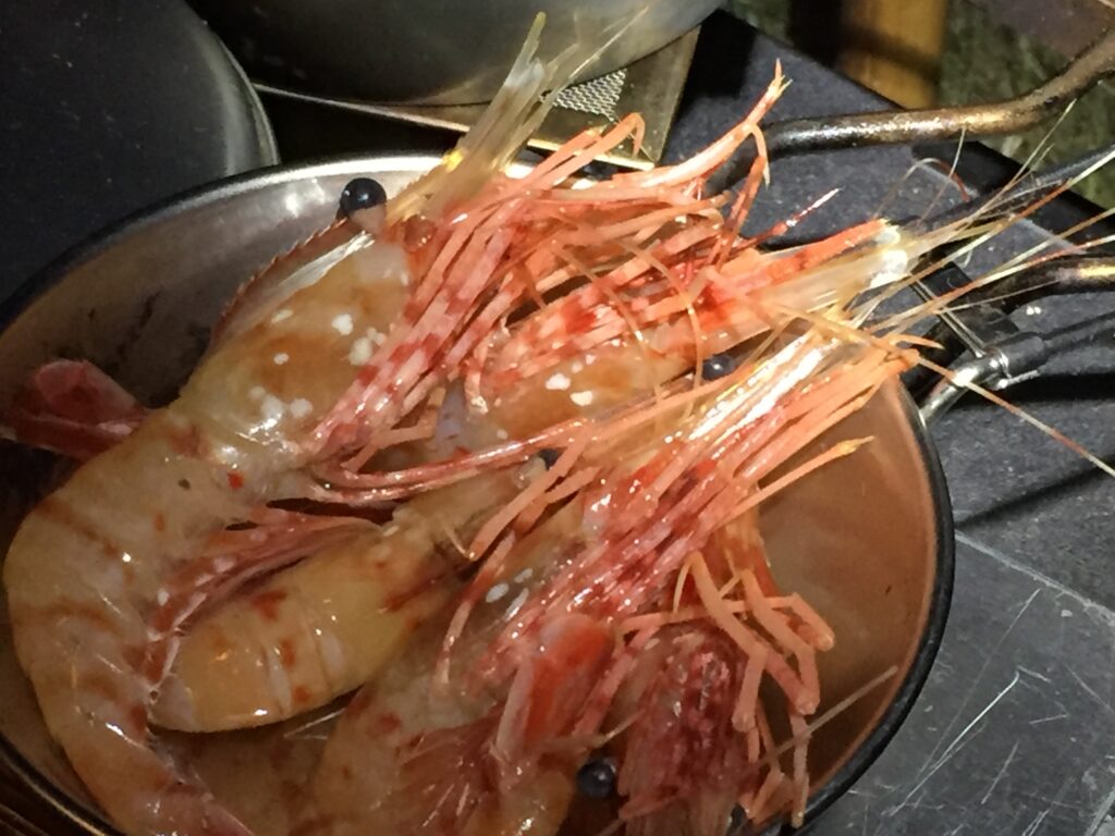 増毛の市場で購入したエビ