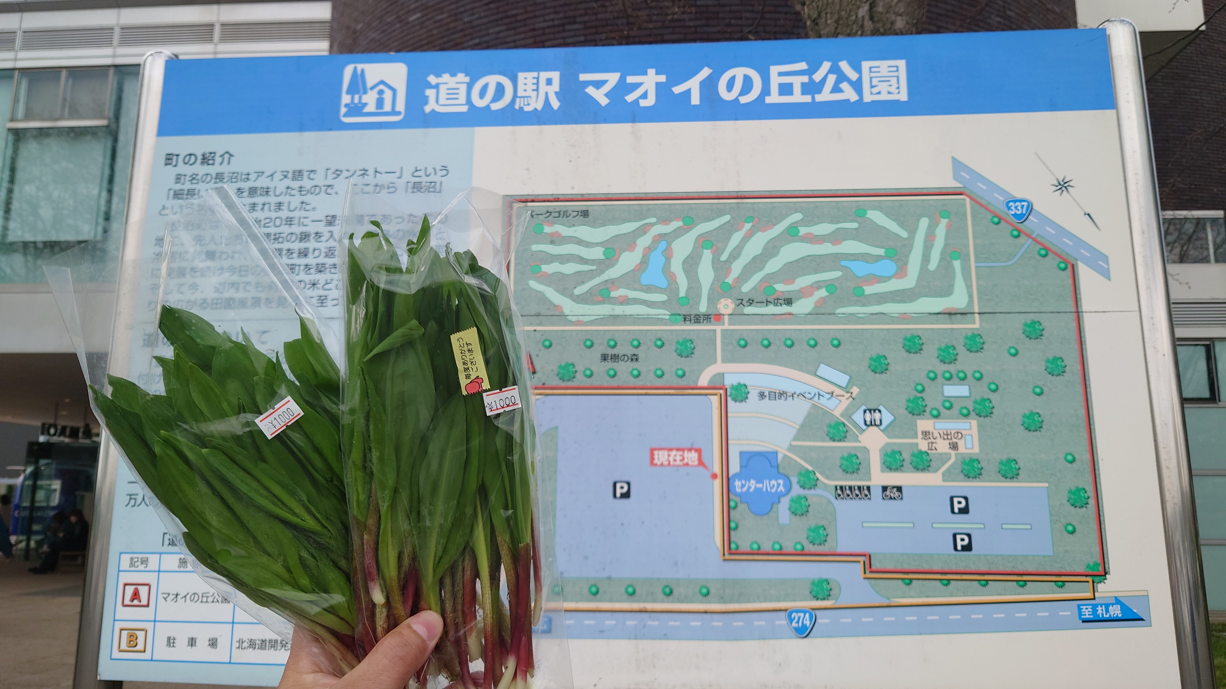 道の駅 マオイの丘公園アイキャッチ画像