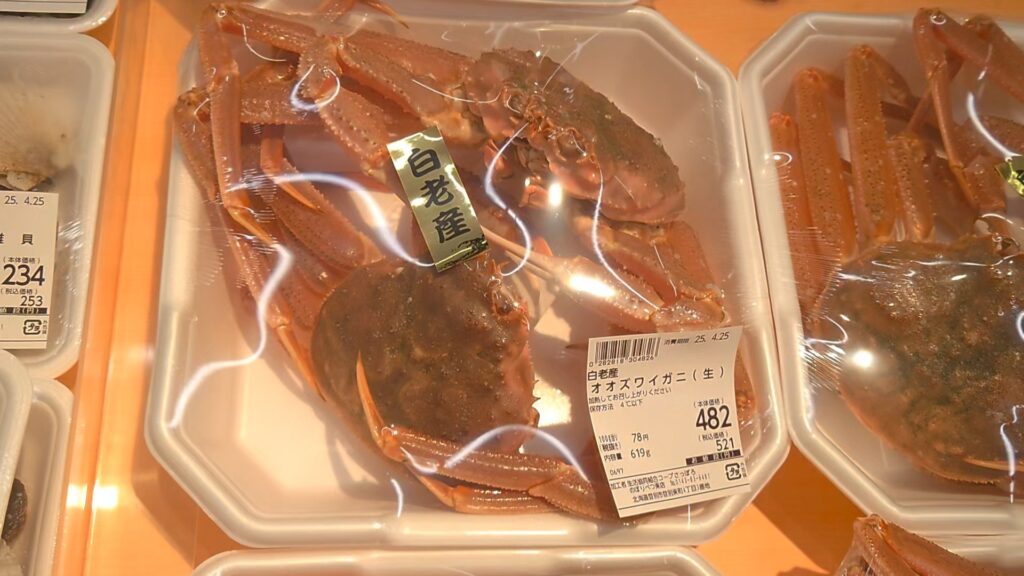 活ズワイガニ