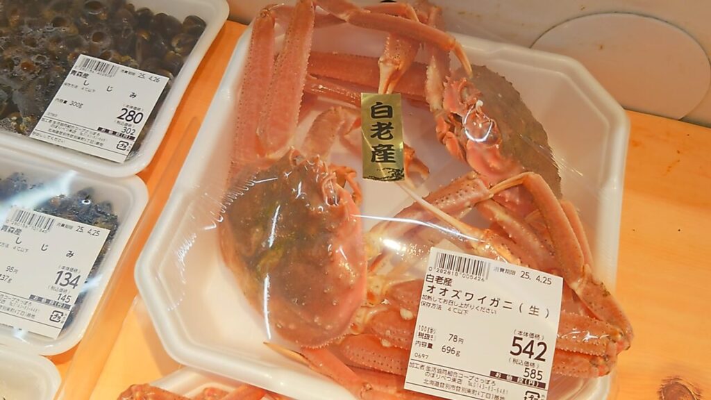 活ズワイガニ