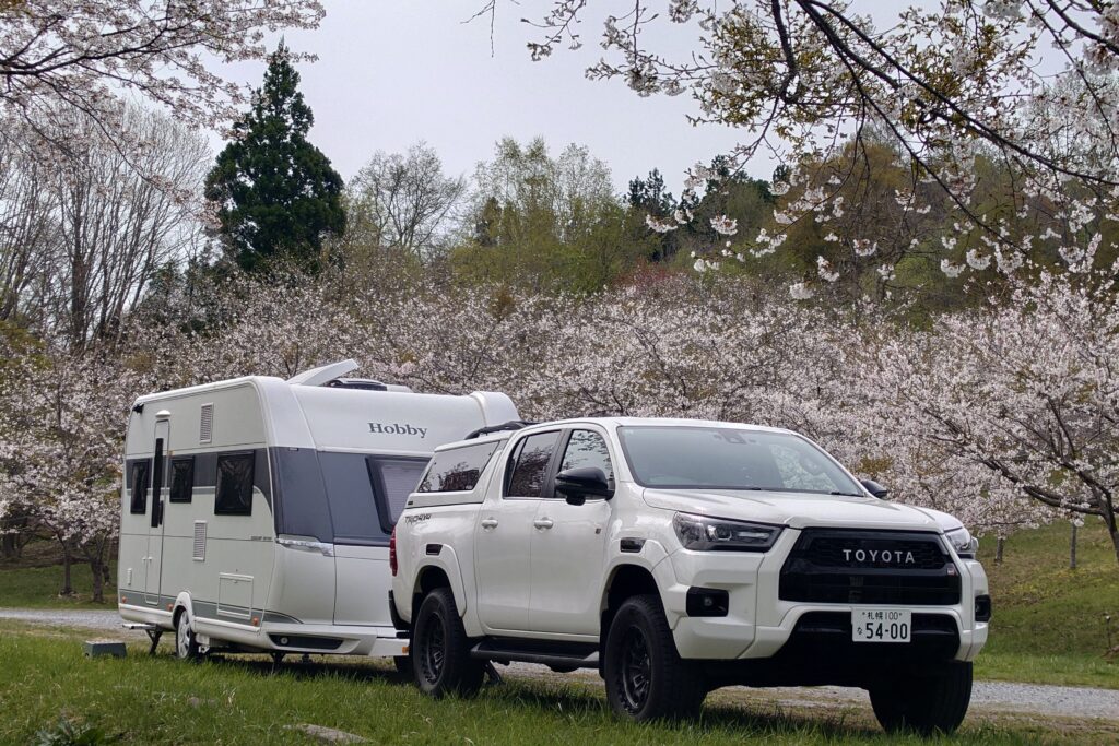 満開の桜とキャンピングトレーラーの画像