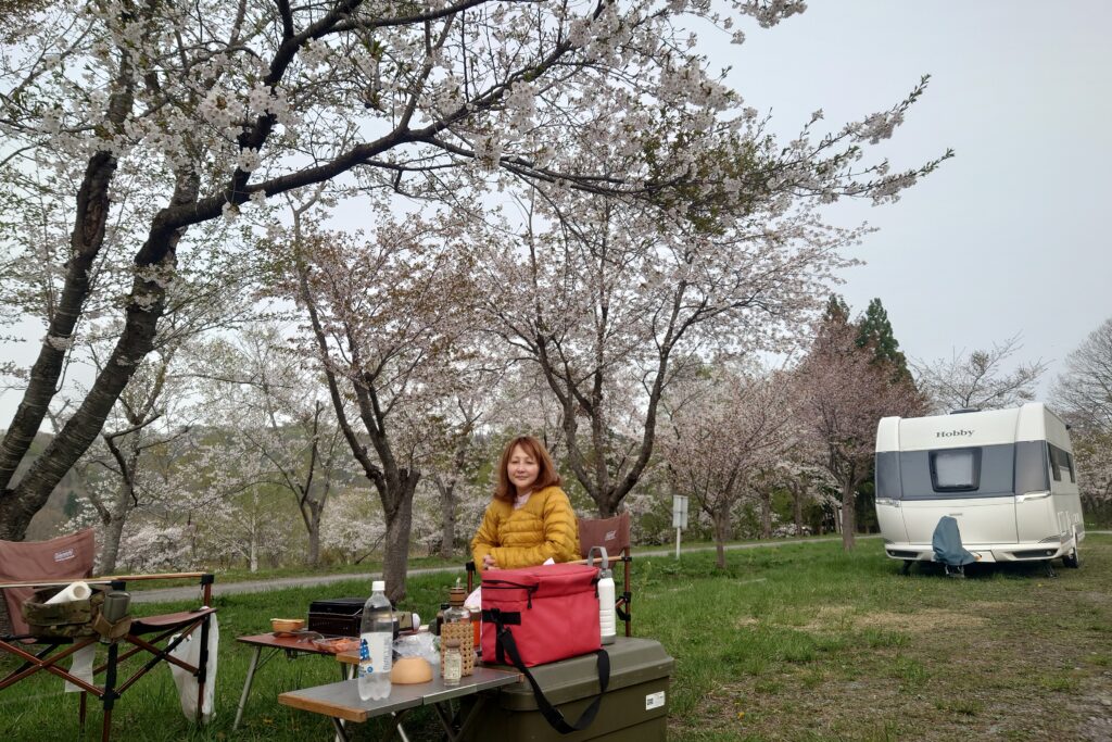 上磯ダム公園キャンプ場でのお花見
