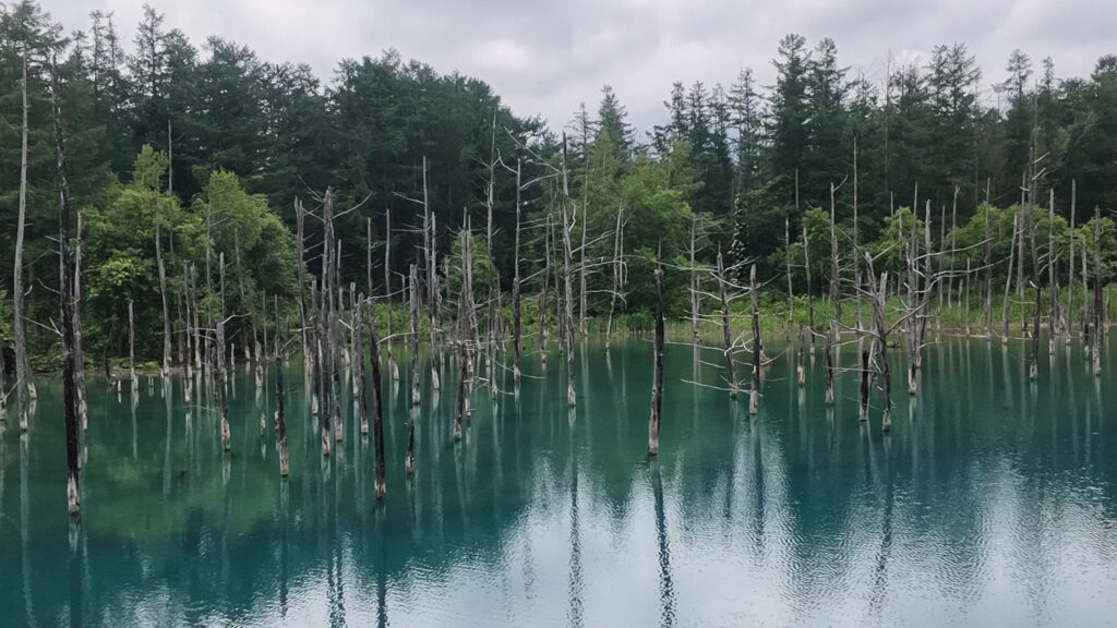 青い池